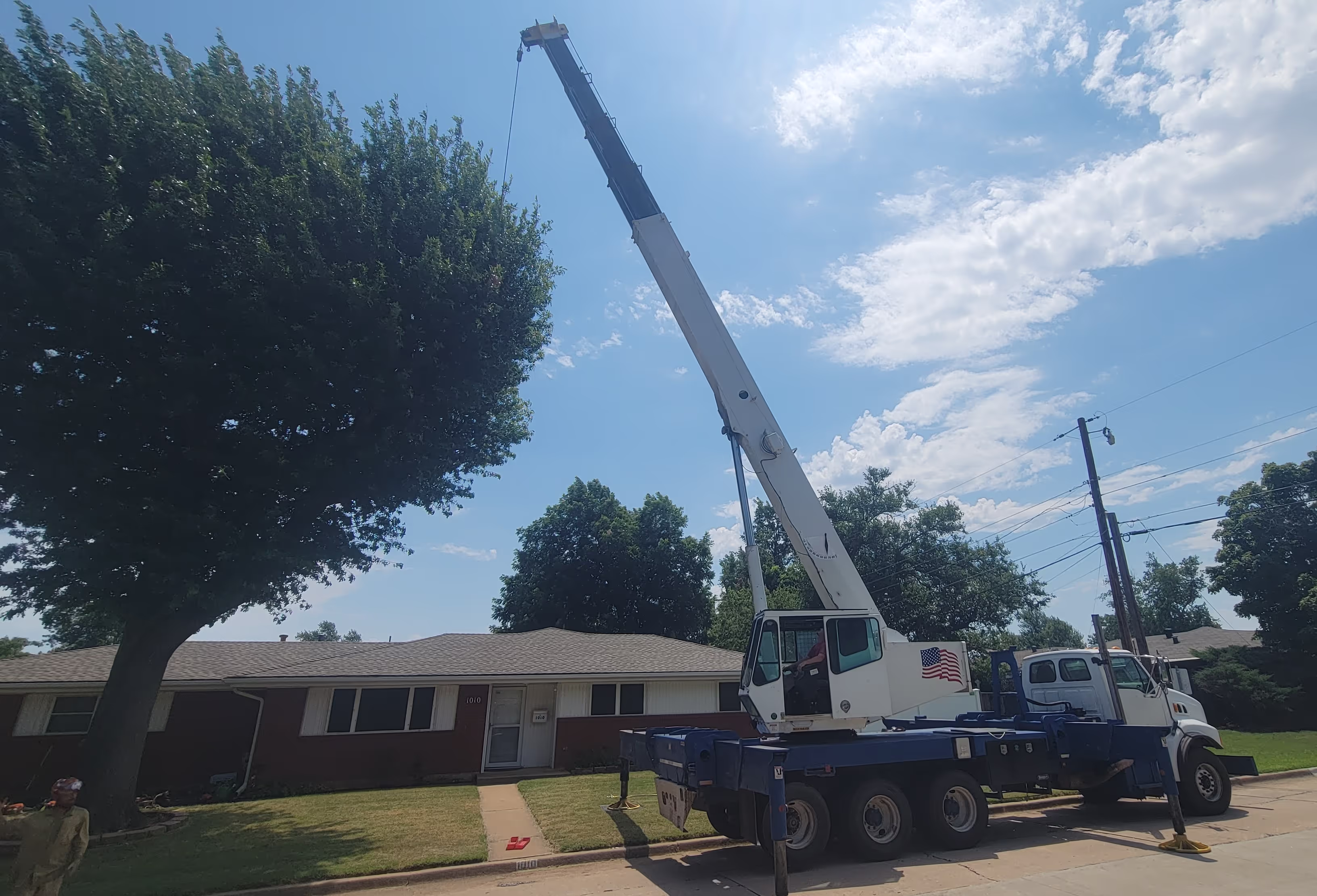 High Risk Tree Removal by Xtreem Tree Services